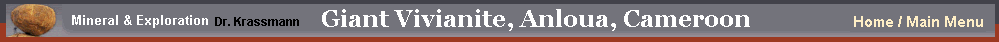 Homepage Mineral & Exploration