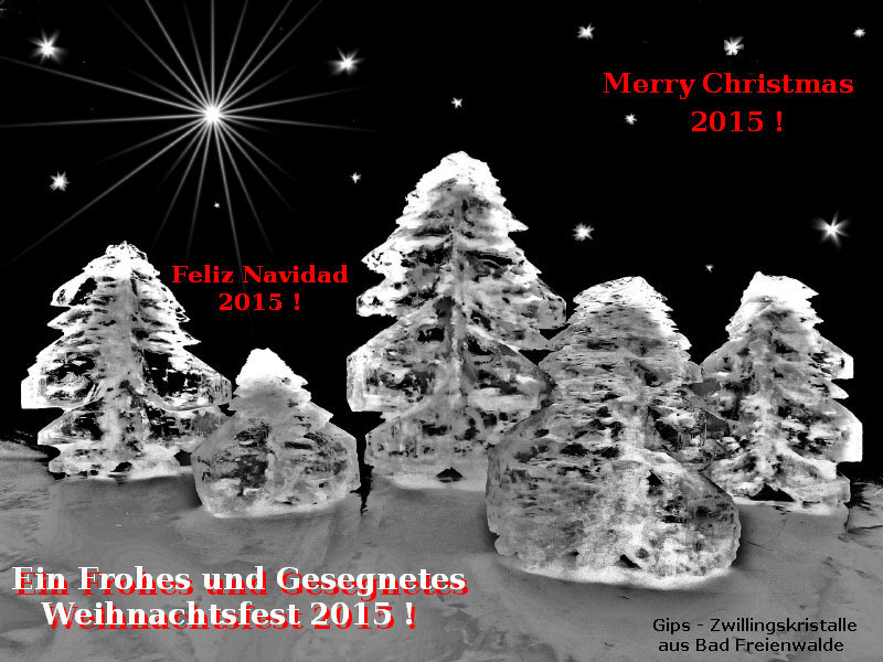 Gips Weihnachtsbäume 2015